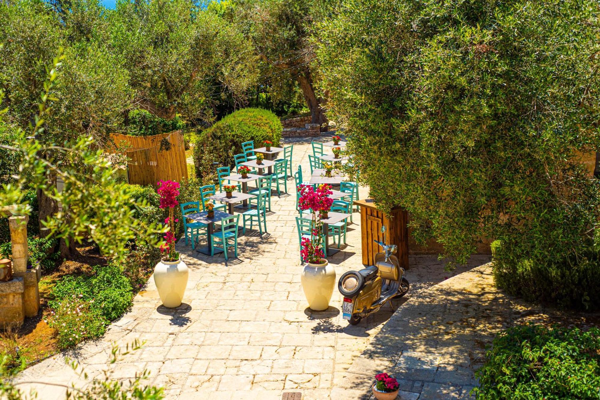 Marenea Suite Hotel - Cdshotels ماريتيما المظهر الخارجي الصورة